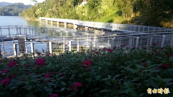 水庫在腳底下! 漫步薑母島臨水高架棧道超刺激