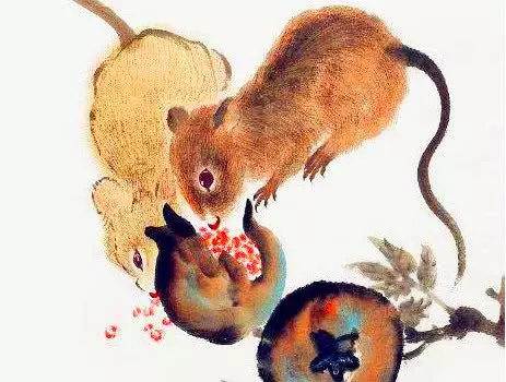 被好運選中的生肖,2019年一到,錢財充足!