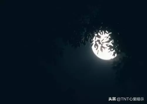 請逼自己養成10個自律習慣，你看的結果一定比現在更精彩……