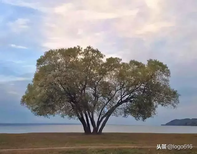 人的成熟不是年齡,而是心態!