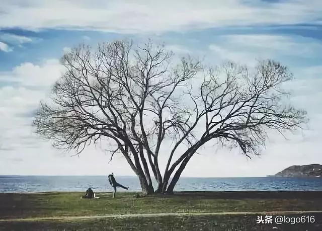 人的成熟不是年齡,而是心態!