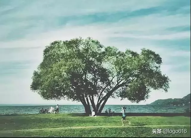 人的成熟不是年齡,而是心態!