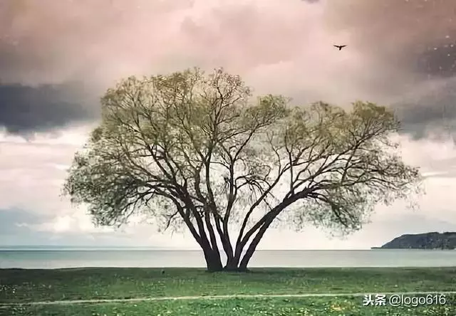 人的成熟不是年齡,而是心態!
