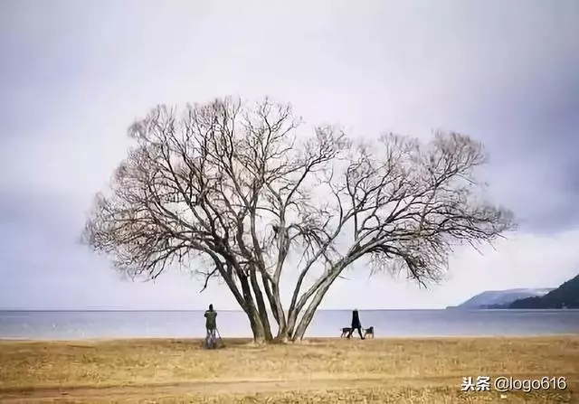 人的成熟不是年齡,而是心態!
