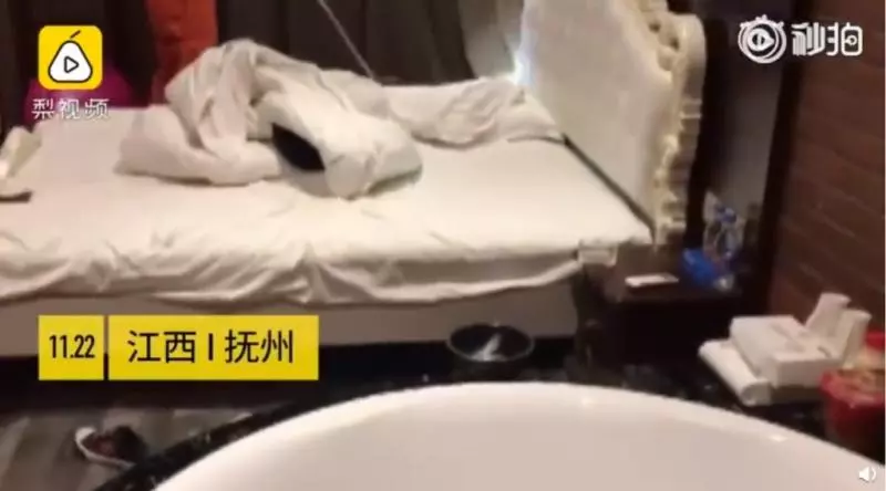 床上vs.大自然鬥爭!蠢哥帶「3條毒蛇」找女人滾床 被咬好興奮...1小時後直接見上帝