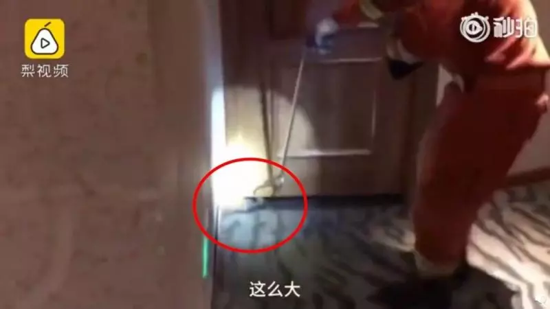 床上vs.大自然鬥爭!蠢哥帶「3條毒蛇」找女人滾床 被咬好興奮...1小時後直接見上帝