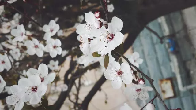聰明的人,從來不說這5句話,人際關係越來越好