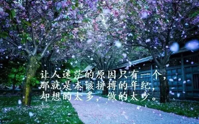 每天醒來,告訴自己:微笑才會美,努力才會成功!(超勵志)