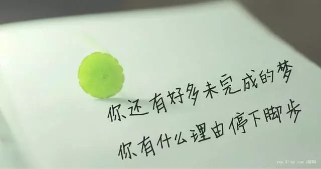 學會放下,你才會更強大!
