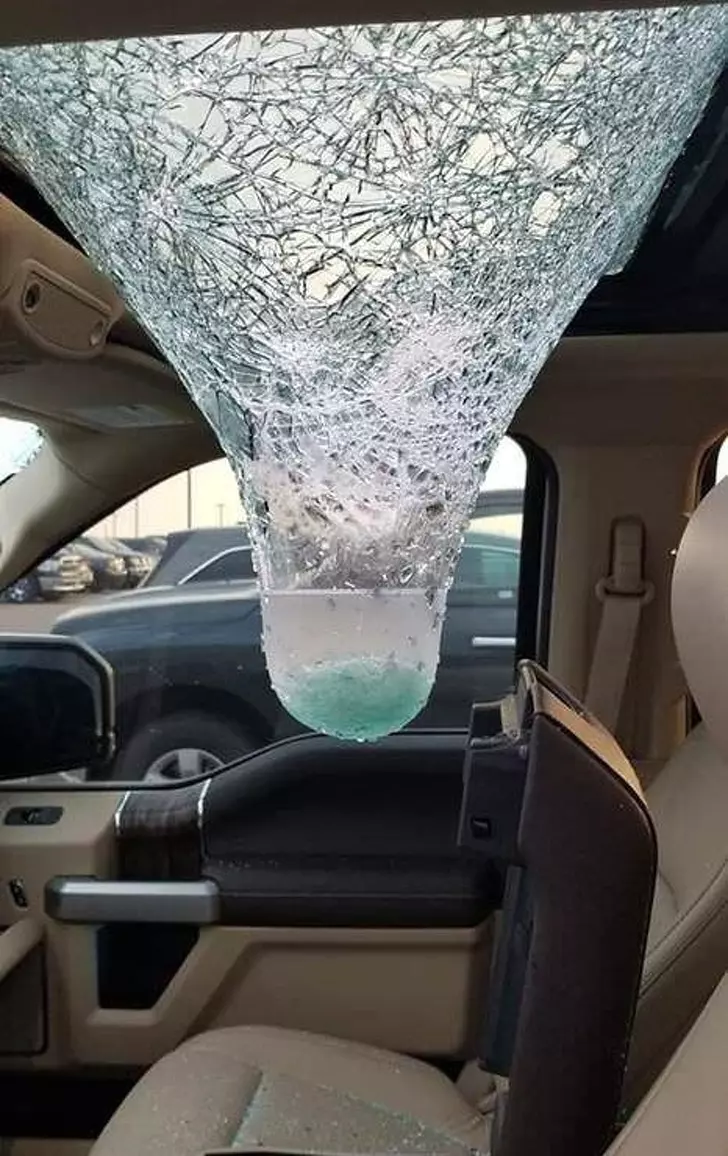 會觀察的人永遠不無聊! 20張「嘴角不爭氣上揚」的日常趣味照