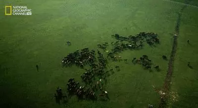 走遍世界,還是祖國最美!