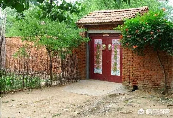 如果你有一個農家小院,你會在院子裡種什麼菜?