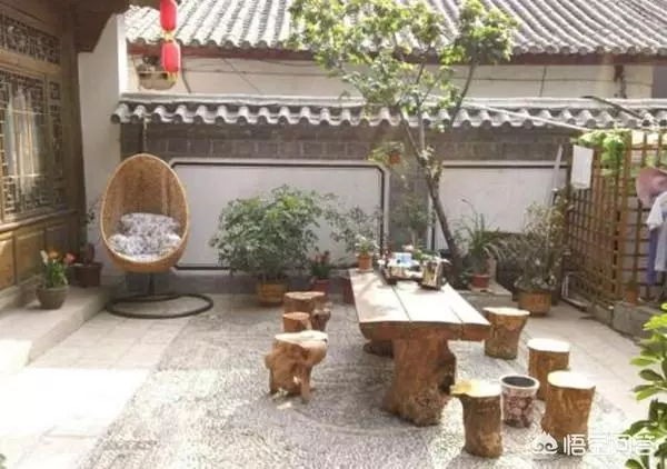 如果你有一個農家小院,你會在院子裡種什麼菜?