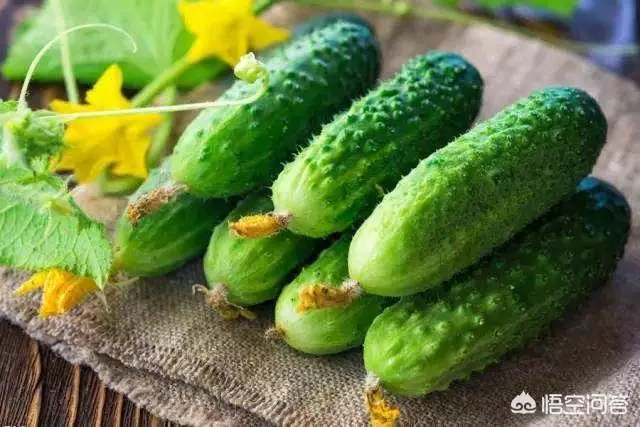 如果你有一個農家小院,你會在院子裡種什麼菜?