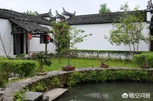 如果你有一個農家小院,你會在院子裡種什麼菜?