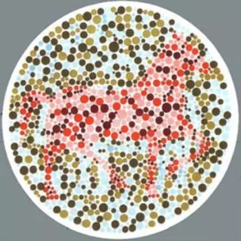【測驗】你第一眼看到「什麼動物」?測出你的人格特質! - 天天好健康