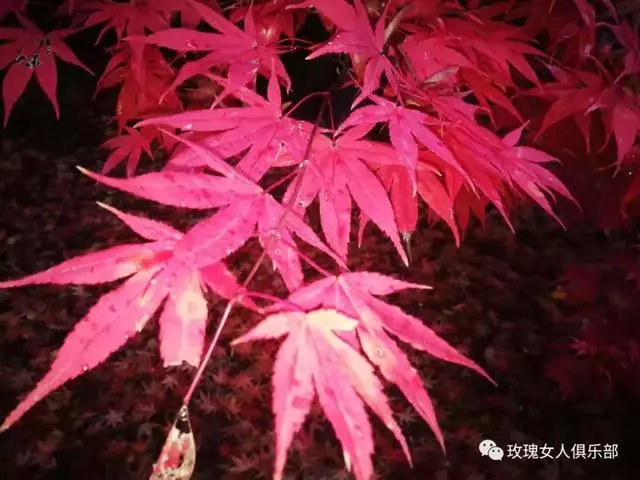 無論何種年齡,女人都該堅持的修煉