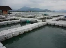 羽總下通牒 雙蔚再不振作或開除