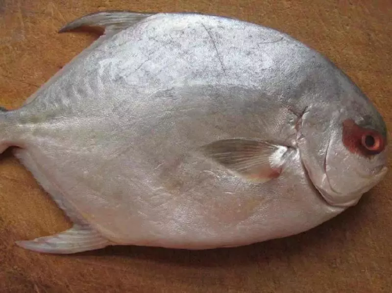 這樣做魚,不煎不炸也不燉,簡單3步就做好,魚肉細嫩不腥氣