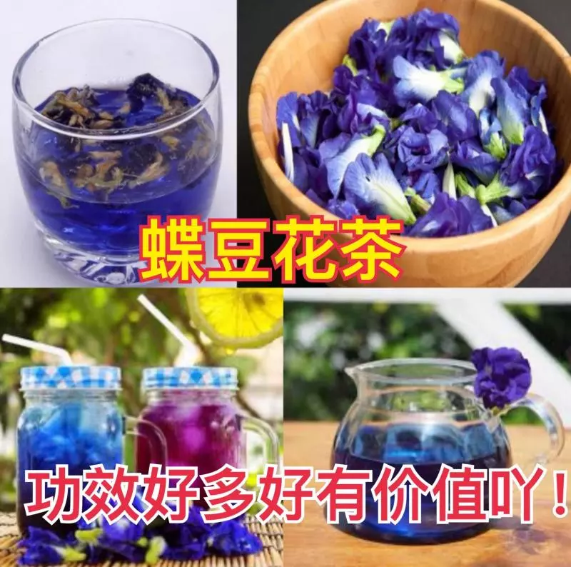 蝶豆花茶 ,你喜歡喝嗎?功效好多好有價值吖!