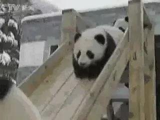 一組內容能夠引起你共鳴的照片