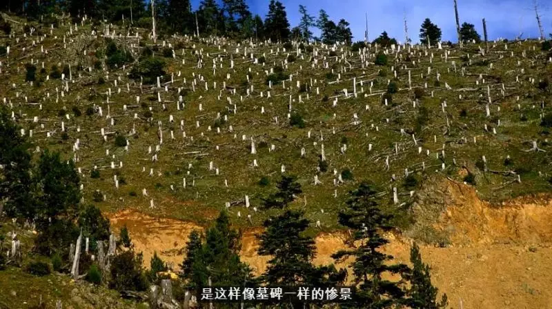放棄當國家地理攝影師 他留在中國拍下「外界看不到的大自然」撼動全世界