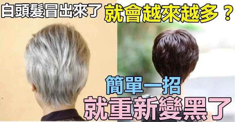 白髮越來越多?是你經常吃這三種食物,最好少吃些