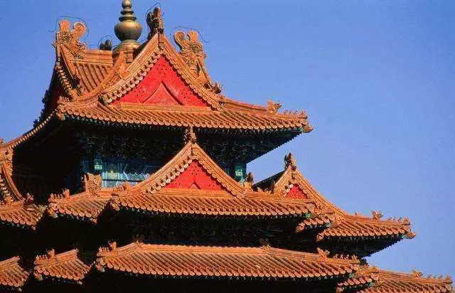 故宮的房頂從沒有鳥糞, 600多年了為何如此乾淨? 專家說出了秘密!