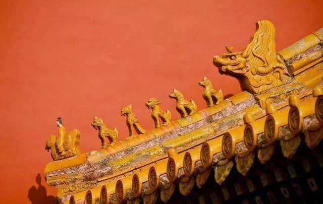 故宮的房頂從沒有鳥糞, 600多年了為何如此乾淨? 專家說出了秘密!