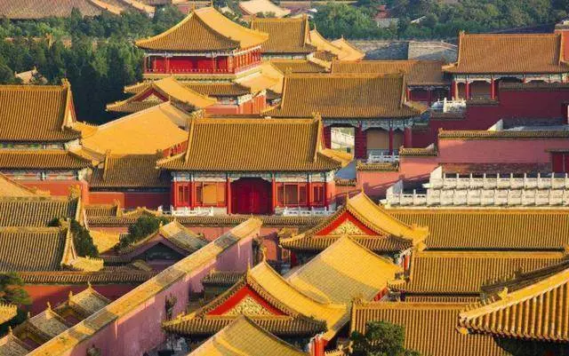 故宮的房頂從沒有鳥糞, 600多年了為何如此乾淨? 專家說出了秘密!