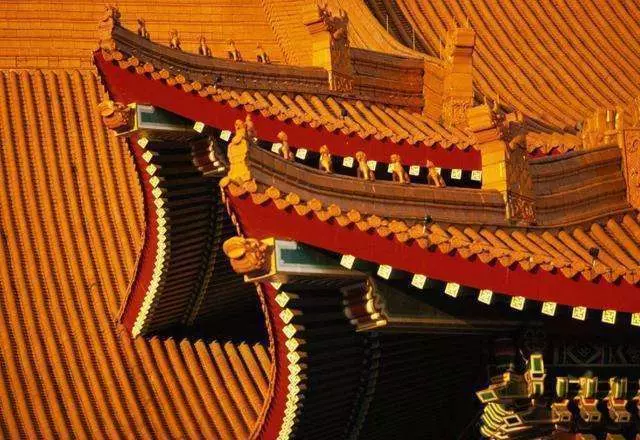 故宮的房頂從沒有鳥糞, 600多年了為何如此乾淨? 專家說出了秘密!