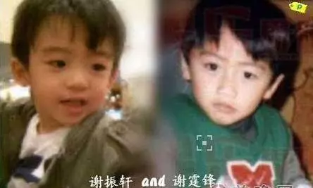 謝霆鋒小兒子近照,長得和他一模一樣,實力打臉「像陳冠希言論」!
