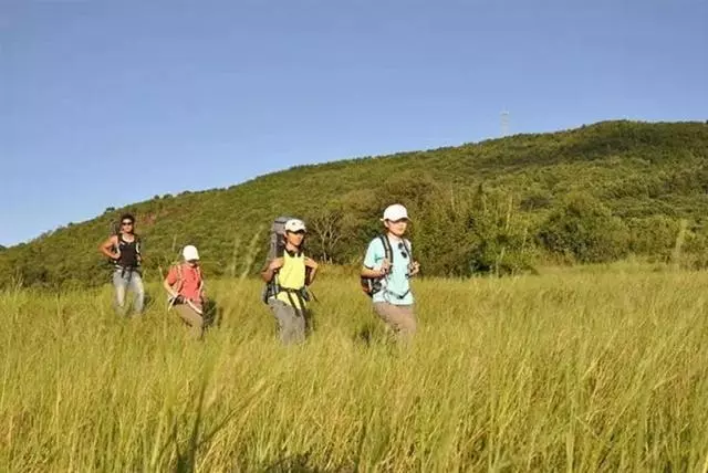 和哥哥嫂子去旅遊,路上他們總不掏錢,回來收到簡訊,我羞紅臉