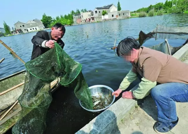 農村母親留遺囑,百萬遺產全歸遠嫁女兒,只給兒子留一件破毛衣