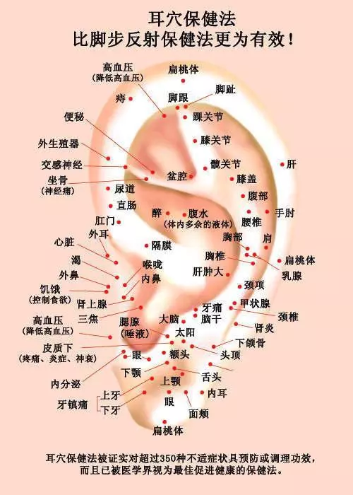 每天揉揉這個地方,助睡眠、養陽氣,很多小病不治而愈