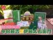 日做夜做都不夠他厲害!男子養蟑螂月入RM25K!