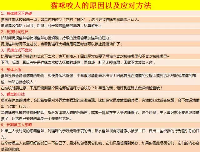 為什麼撫摸貓咪時它會翻臉咬人?忽略貓咪的身體語言被咬在所難免