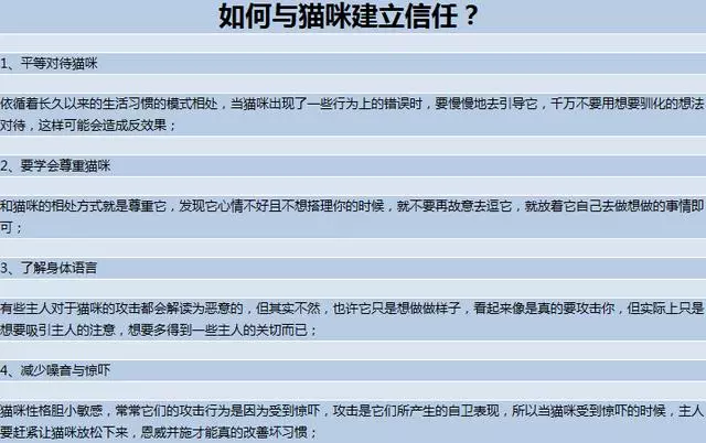 為什麼撫摸貓咪時它會翻臉咬人?忽略貓咪的身體語言被咬在所難免