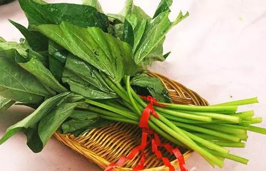 此蔬菜被稱為「長壽菜」,能抗衰老、抗病毒、提高人體抗病能力