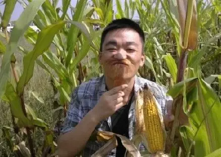 妻子去地里叫丈夫吃飯,發現路邊有雙高跟鞋,轉身瞥眼,她扎心