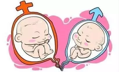 妻子生一對龍鳳胎,丈夫體檢發現有一個不是親生的,妻子坦白承認