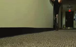 現在警察叔叔都流行養貓了吧