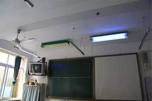 狗狗誤舔消毒液而中毒,打掃狗窩需注意三點,保護愛犬不被誤傷