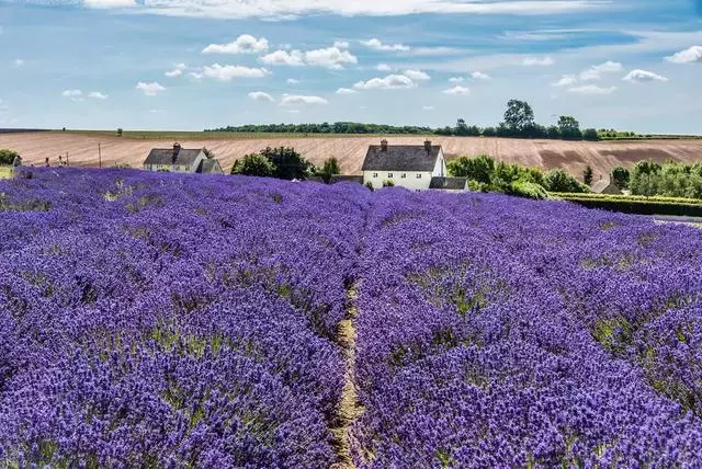 英國人都想住鄉下?最美小鎮美到窒息了!