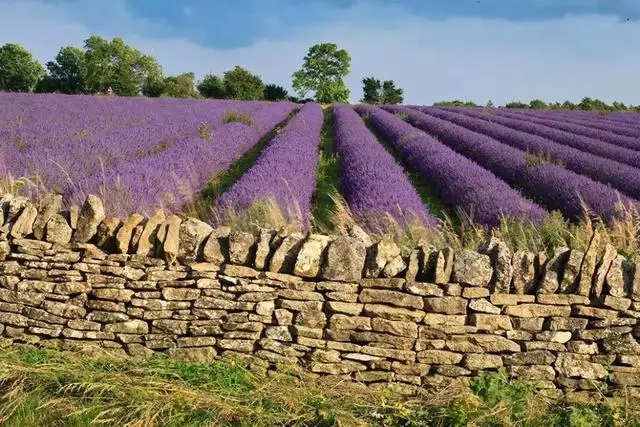 英國人都想住鄉下?最美小鎮美到窒息了!