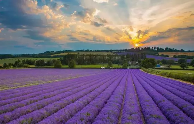 英國人都想住鄉下?最美小鎮美到窒息了!