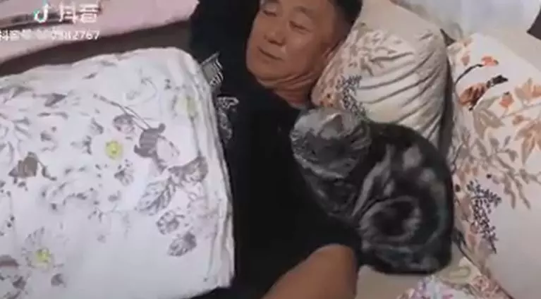 「主子狂舔爸」以為養到塞奶貓?拉近一看「玻璃心碎滿地」網笑:這偽裝術太狂!