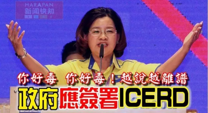 ◤最新驚爆◢ 反ICERD大集會【王賽之有話發表】掌聲鼓勵鼓勵