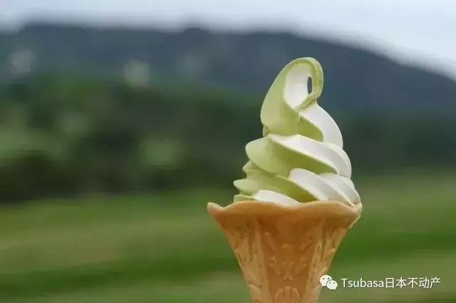 抹茶控看到會抓狂!來到日本一定要吃這些百年手作抹茶美食!