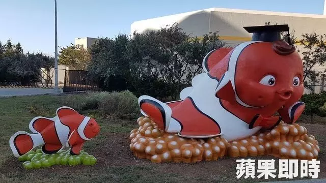 澎科大吉祥物超級獵奇!橘色尼莫「兩顆」痴痴對你笑… 全體顫慄:肚子是O小